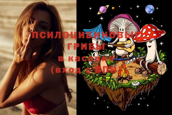 ПСИЛОЦИБИНОВЫЕ ГРИБЫ Зеленодольск