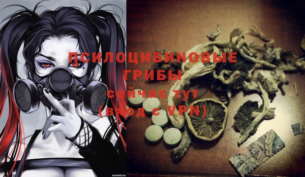 гидропоника Зерноград