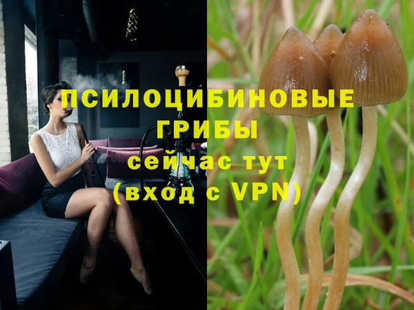гидропоника Зерноград