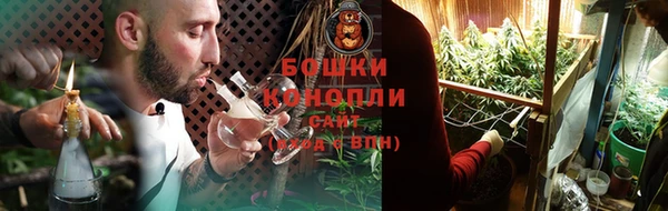 ПСИЛОЦИБИНОВЫЕ ГРИБЫ Зеленодольск